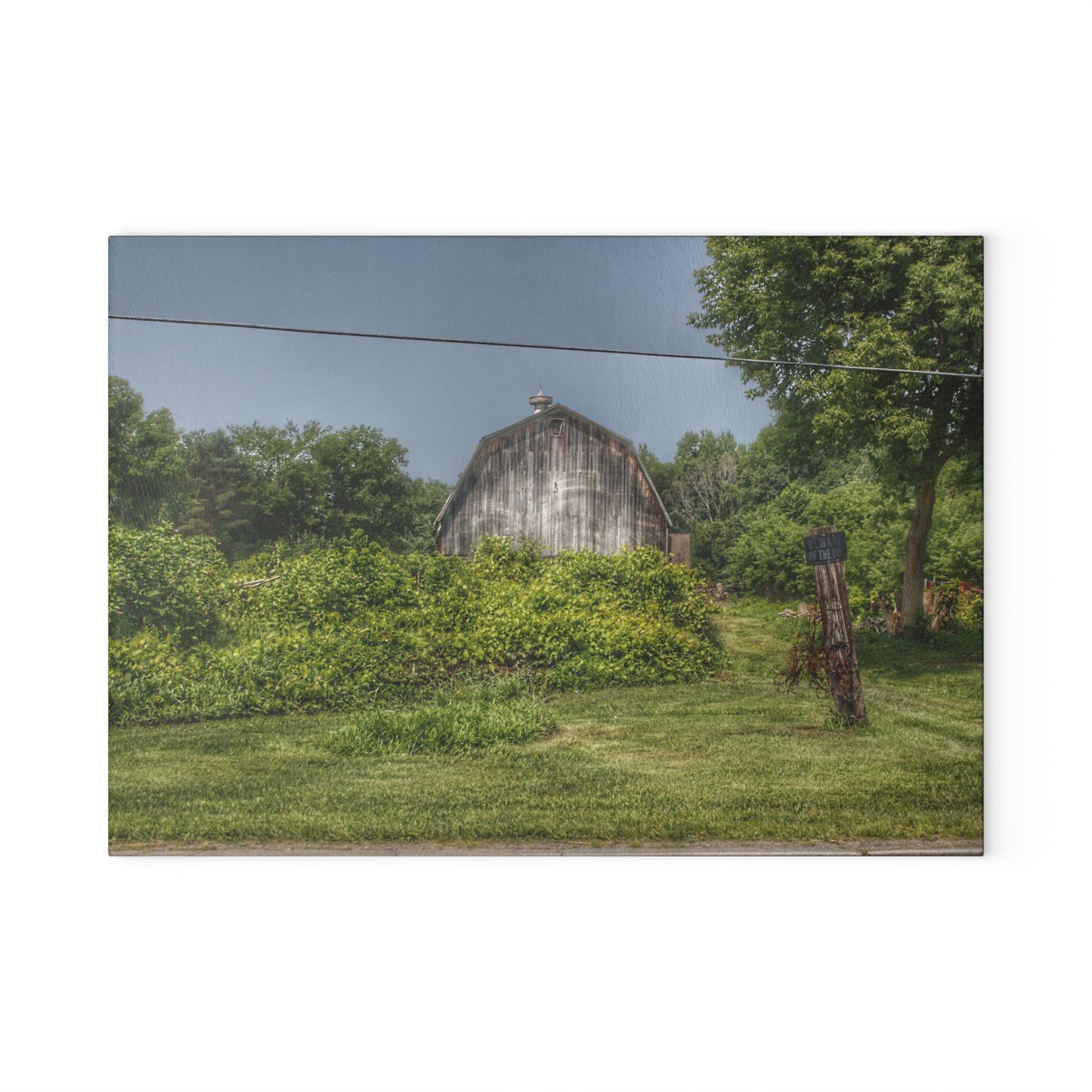 U R There Photography Vassar Road Hidden Grey I Rustic Farmhouse Tempered-Glass Cutting Board