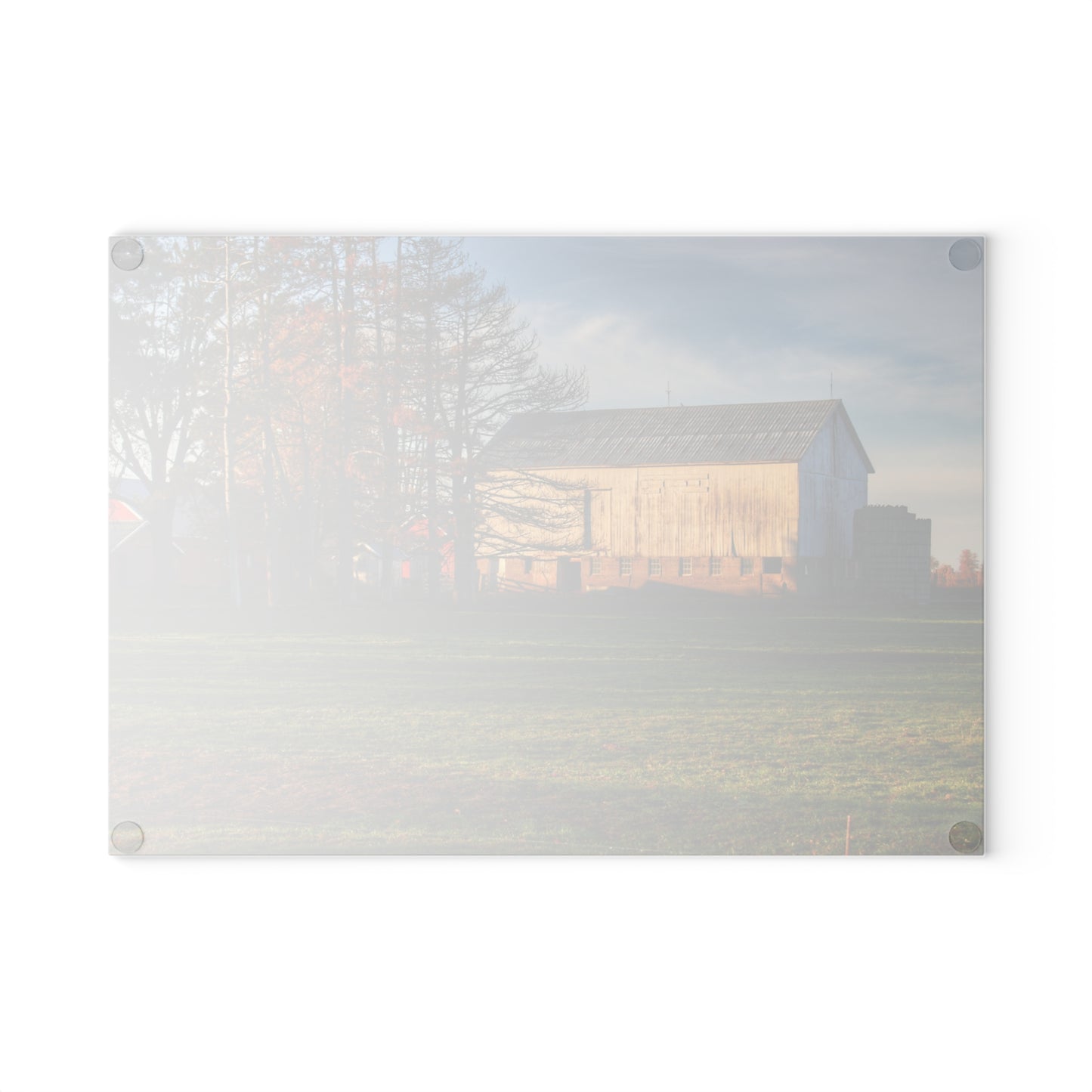 U R There Photography Peck Road White Rustic Farmhouse Tempered-Glass Cutting Board
