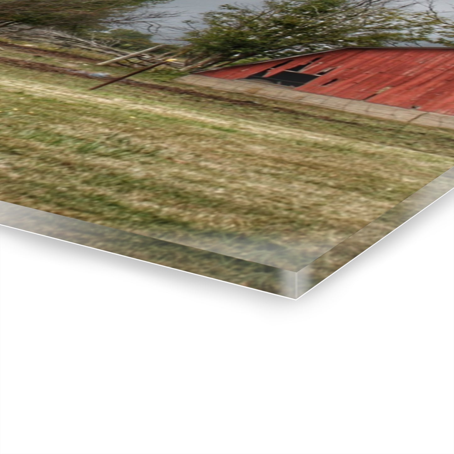 U R There Photography Petz Road Farm Rustic Farmhouse Acrylic Wall Print
