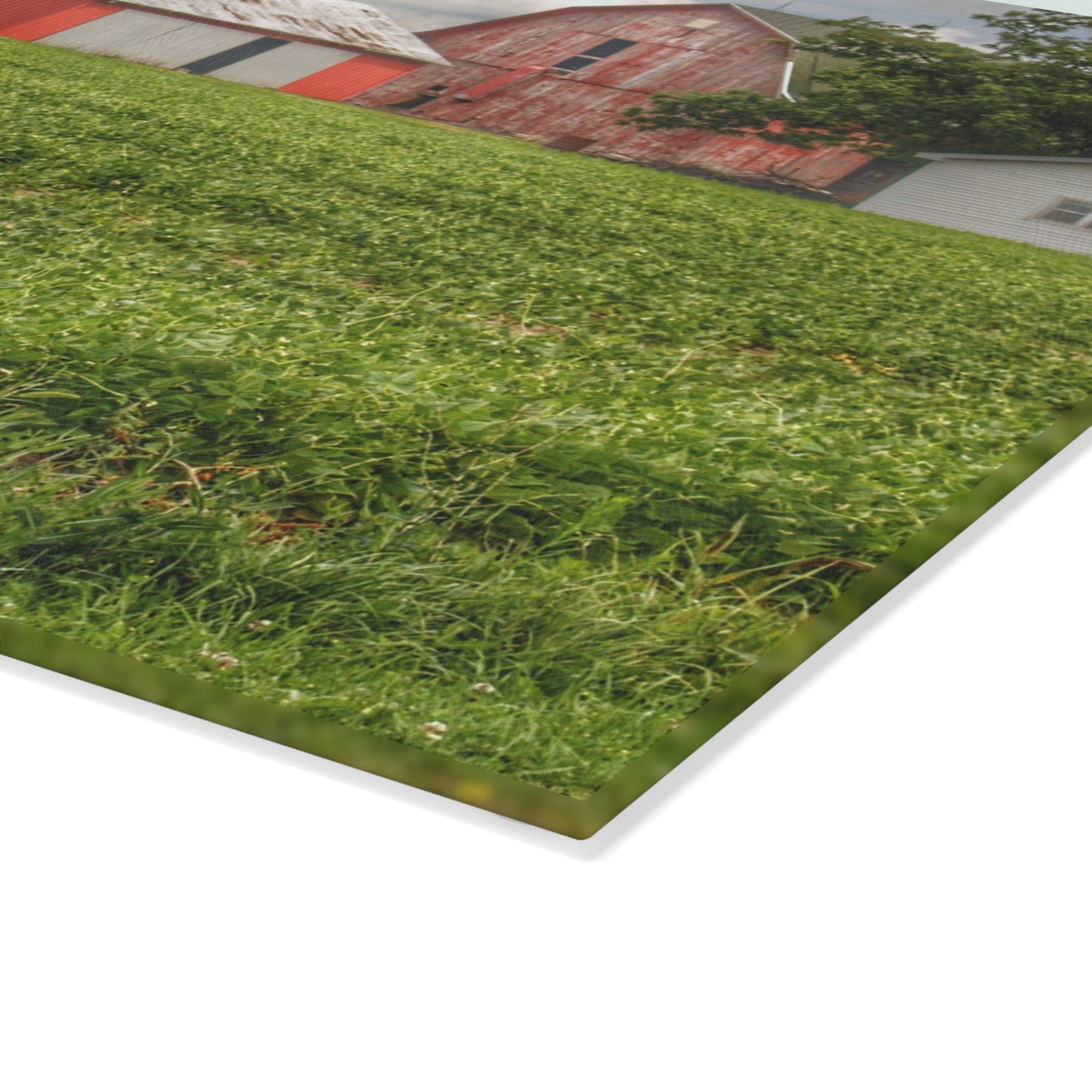 U R There Photography Roadside Trio Rustic Farmhouse Tempered-Glass Cutting Board