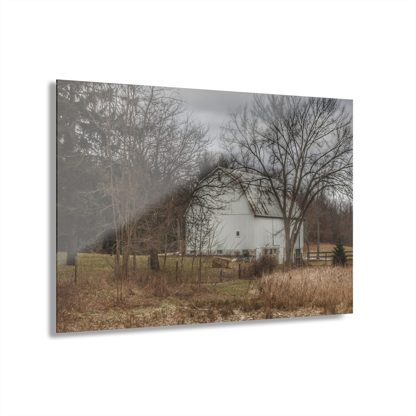 U R There Photography Oakwood Road White II Rustic Farmhouse Acrylic Wall Print