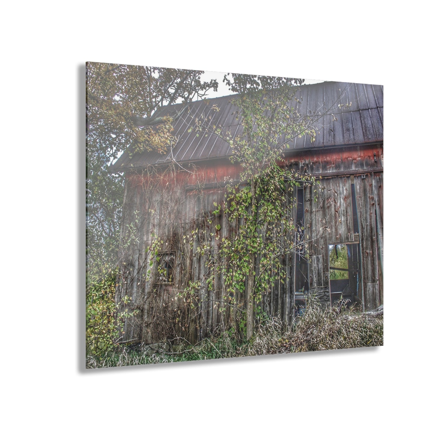 U R There Photography Annie's Barn II Rustic Farmhouse Acrylic Wall Print