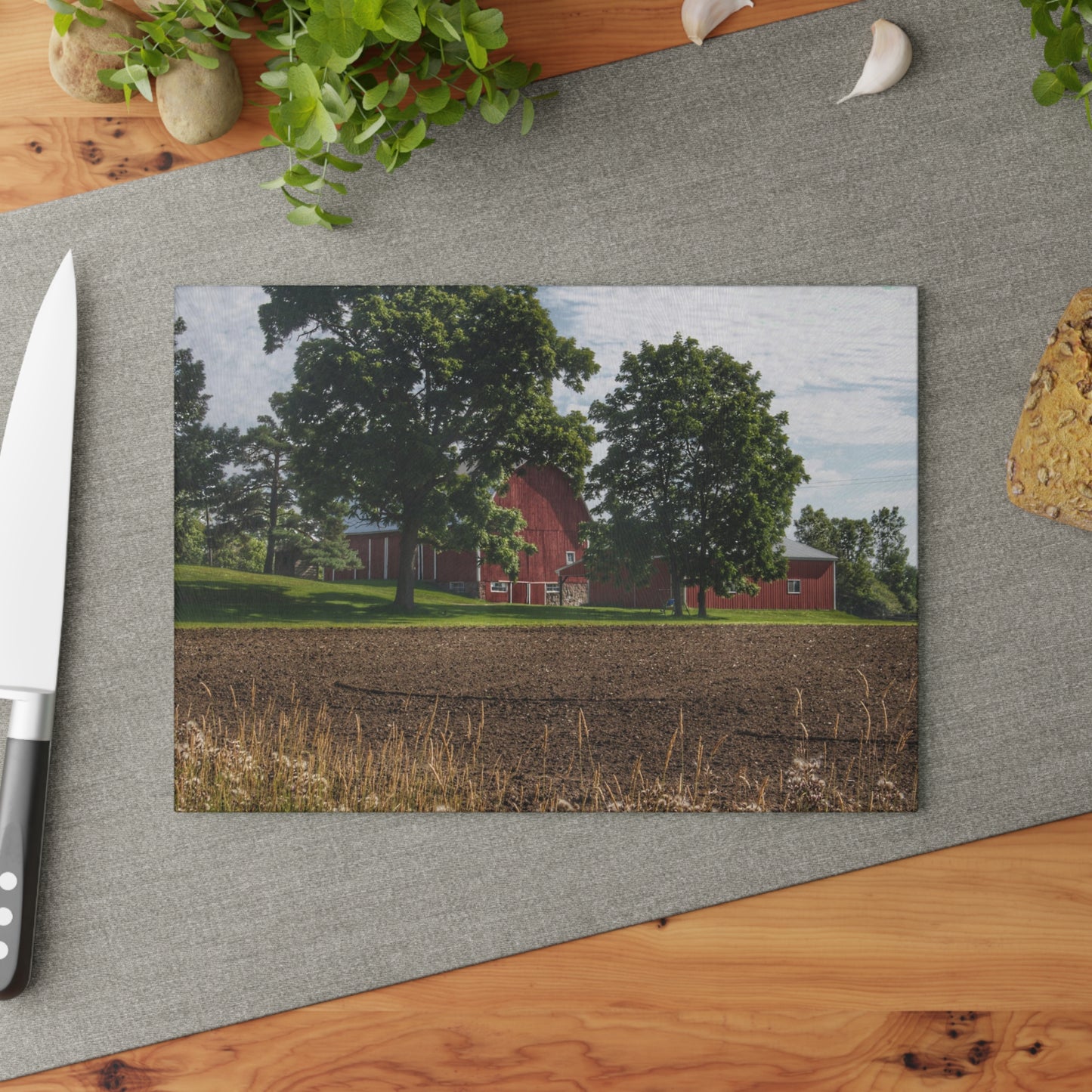 U R There Photography Catlin Road Red II Rustic Farmhouse Tempered-Glass Cutting Board