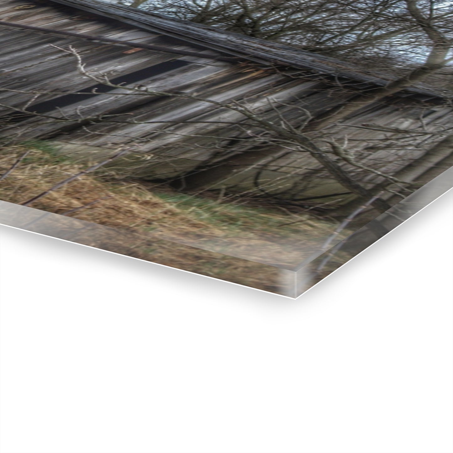 U R There Photography Rural Decay in Early Spring Rustic Farmhouse Acrylic Wall Print