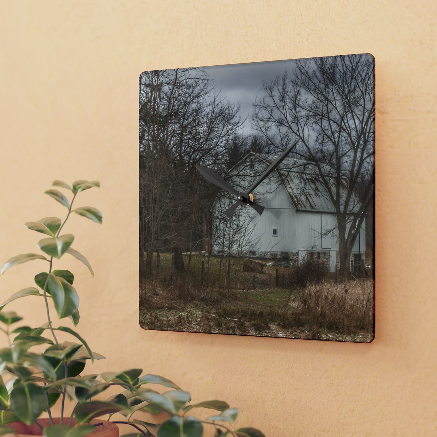 U R There Photography Oakwood Road White II Rustic Farmhouse Acrylic Analog Wall Clock