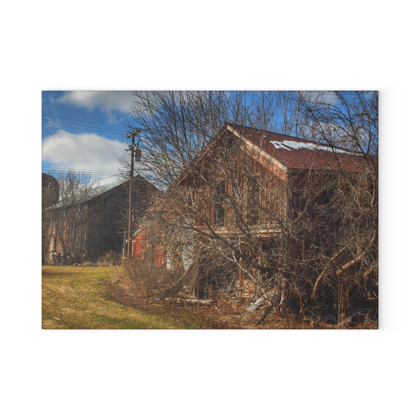 U R There Photography Buried Burnside Greys II Rustic Farmhouse Tempered-Glass Cutting Board