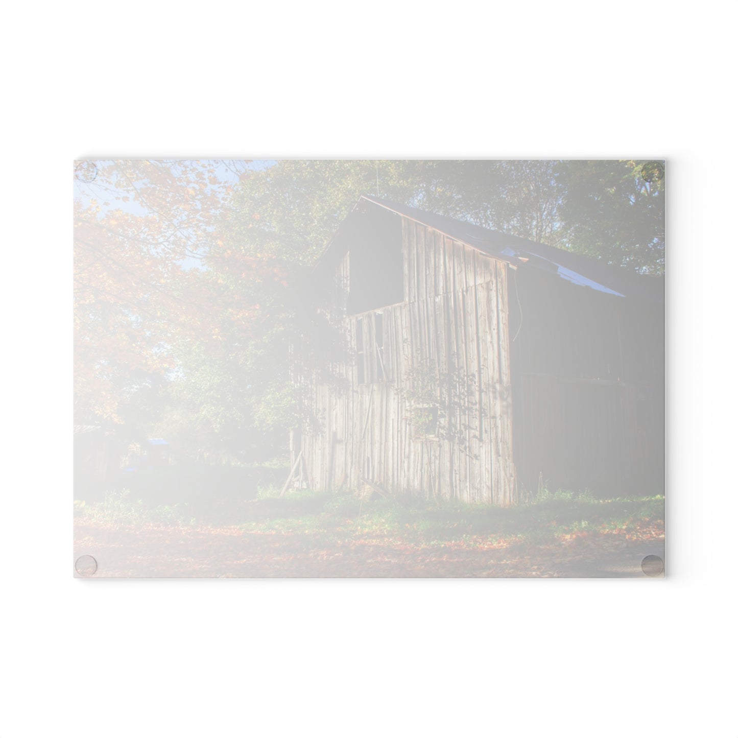 U R There Photography Shoemaker Road Hidden Grey Rustic Farmhouse Tempered-Glass Cutting Board