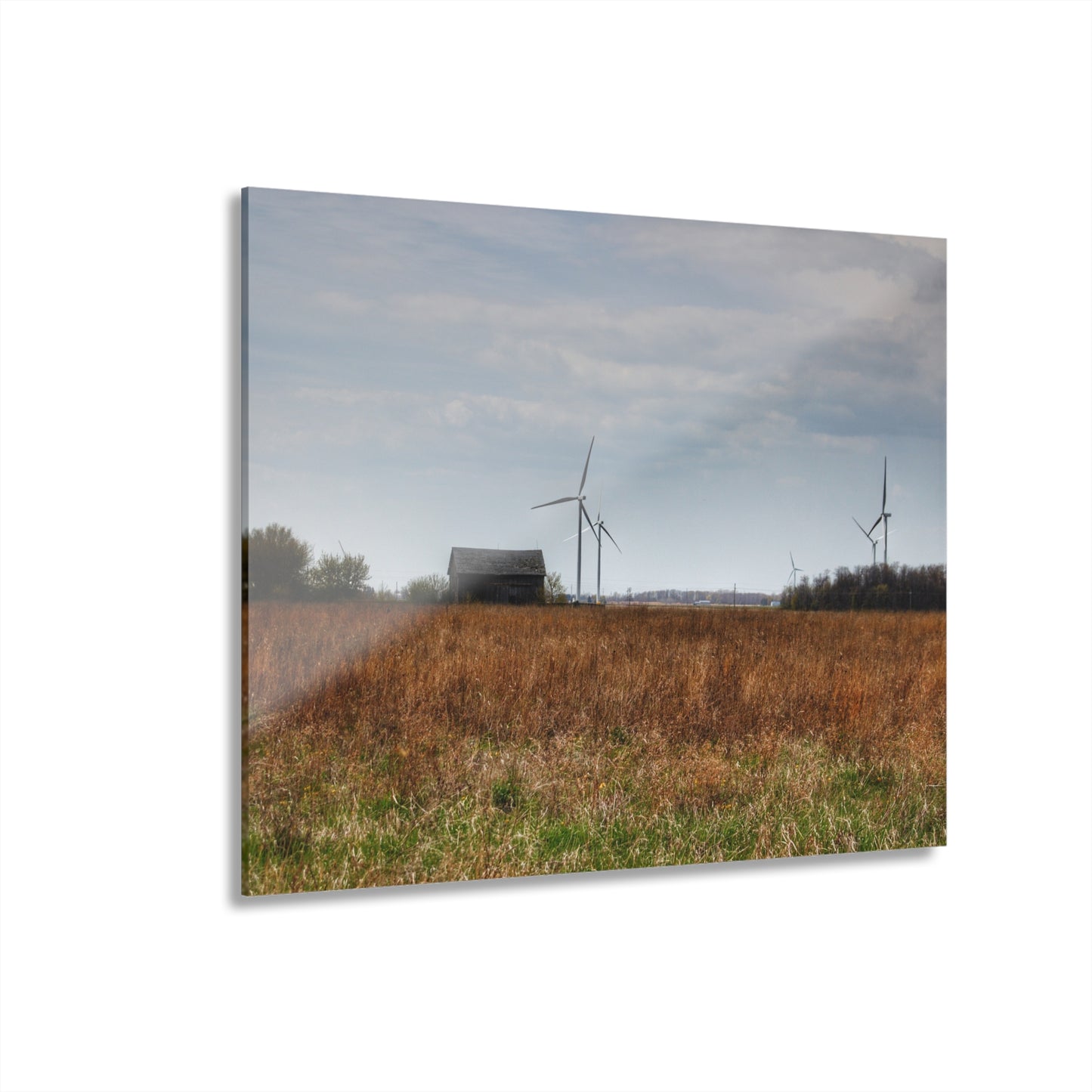 U R There Photography Surin Road Grey Rustic Farmhouse Acrylic Wall Print