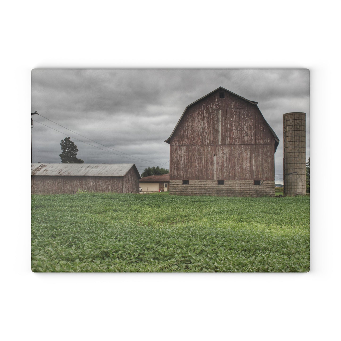 U R There Photography Van Geisen Road Grey Rustic Farmhouse Tempered-Glass Cutting Board