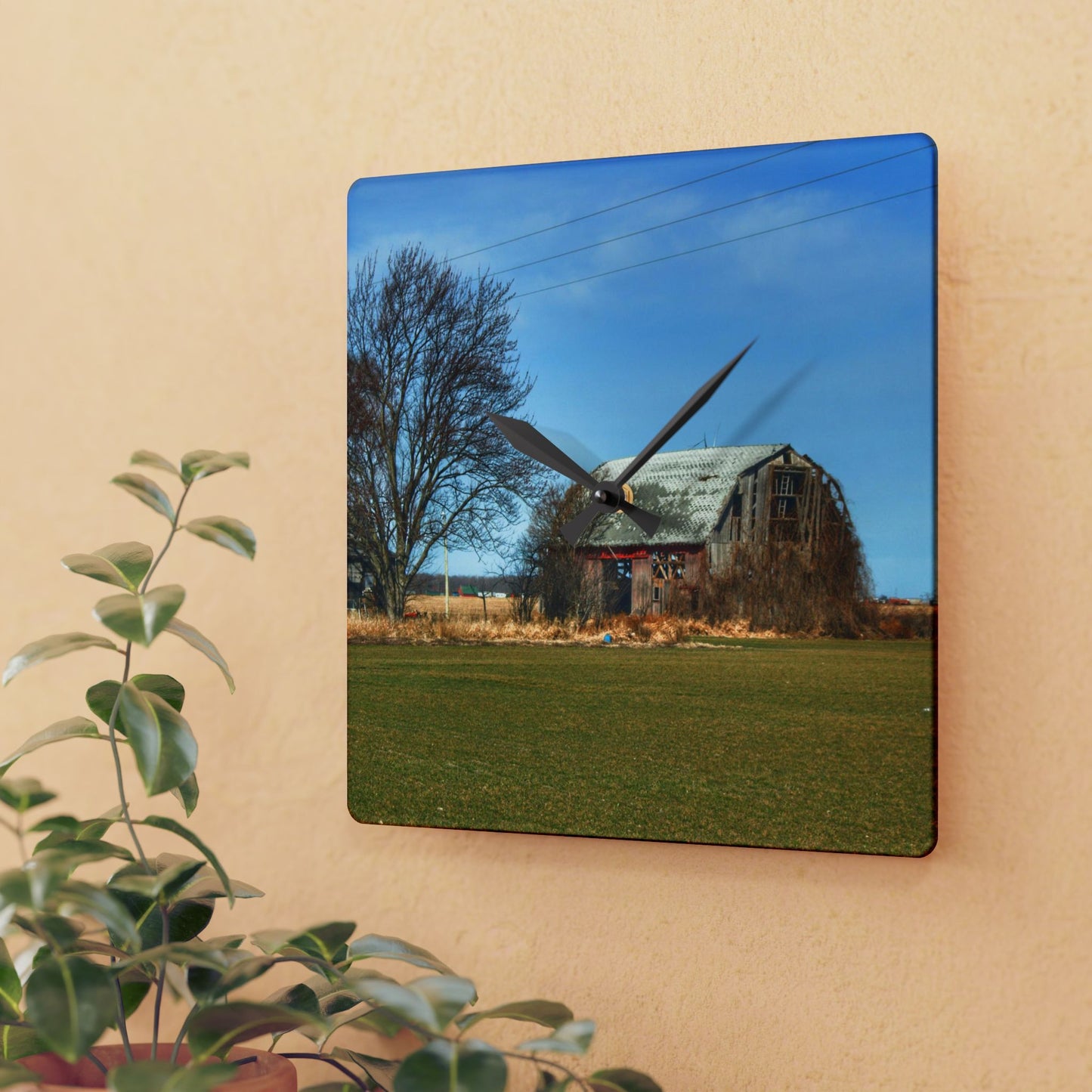 U R There Photography Bay City - Forestville Forgotten Grey Rustic Farmhouse Acrylic Analog Wall Clock