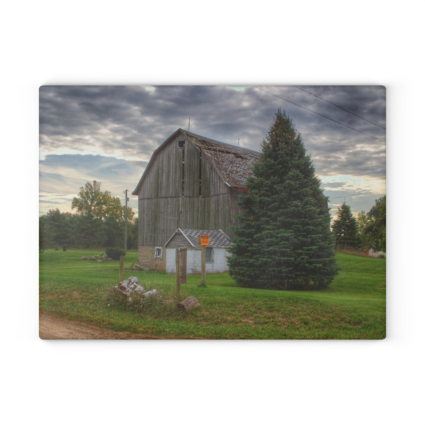 U R There Photography Rich Road Falling Grey II Rustic Farmhouse Tempered-Glass Cutting Board