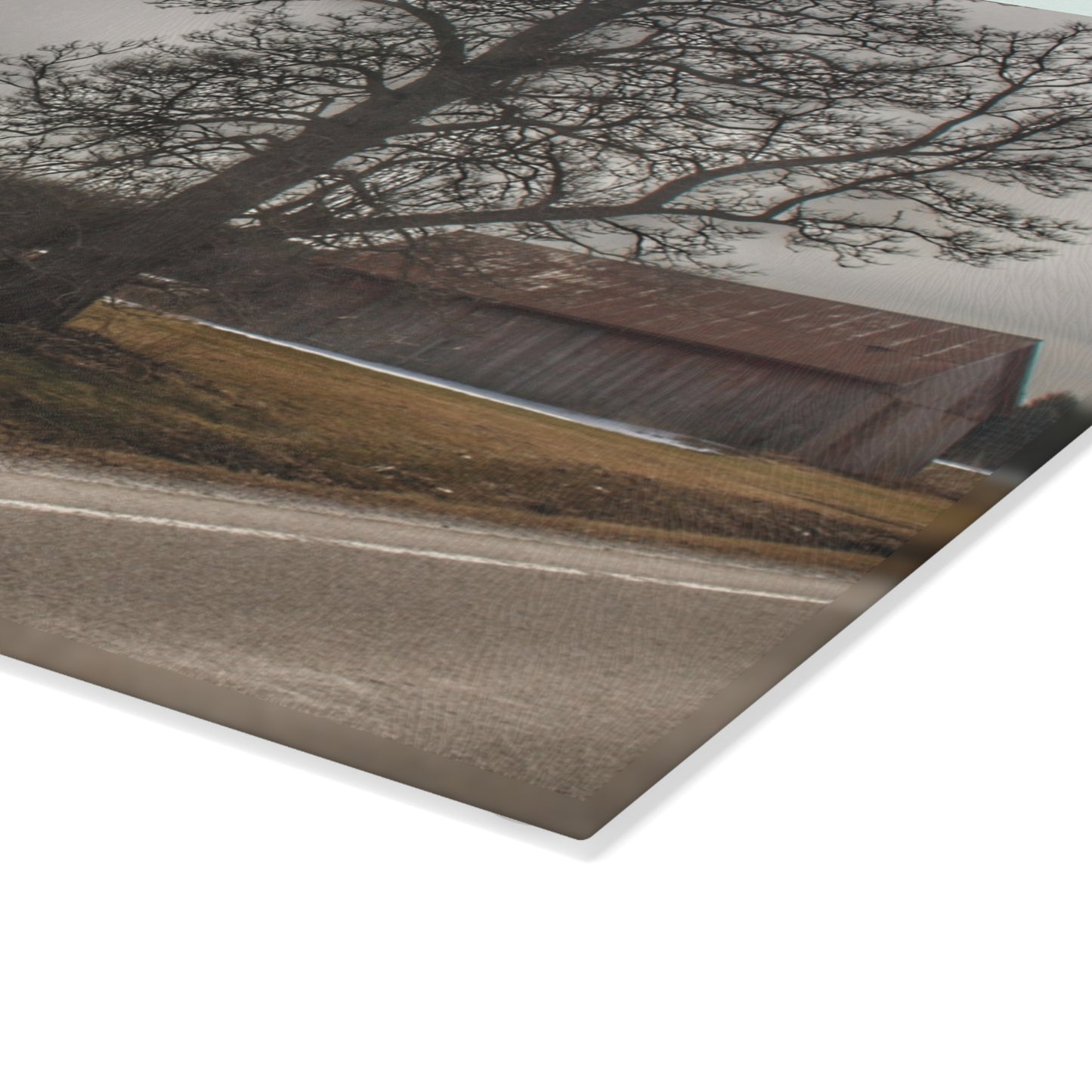U R There Photography Roadside Greys Rustic Farmhouse Tempered-Glass Cutting Board