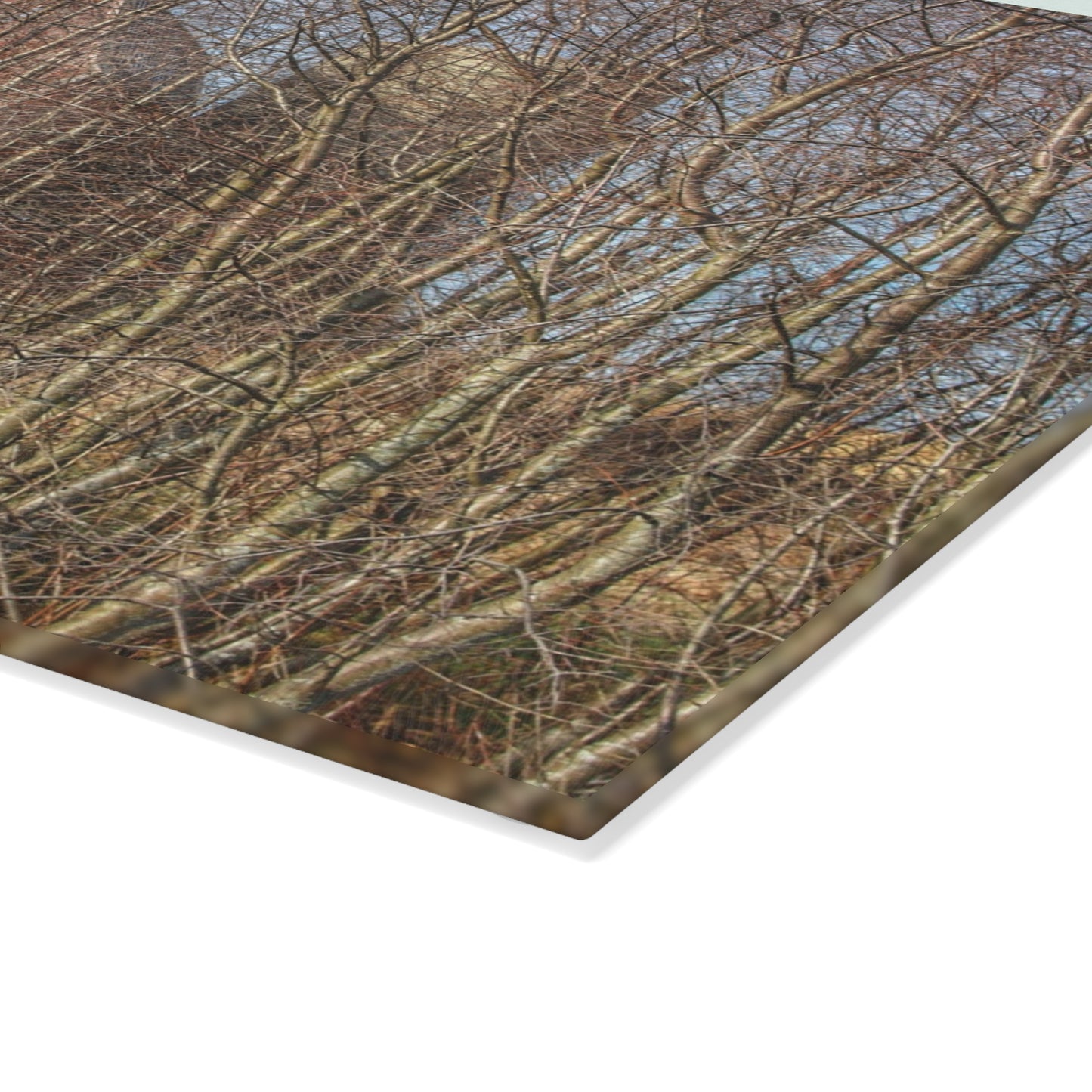 U R There Photography Otter Lake Hidden Red Rustic Farmhouse Tempered-Glass Cutting Board