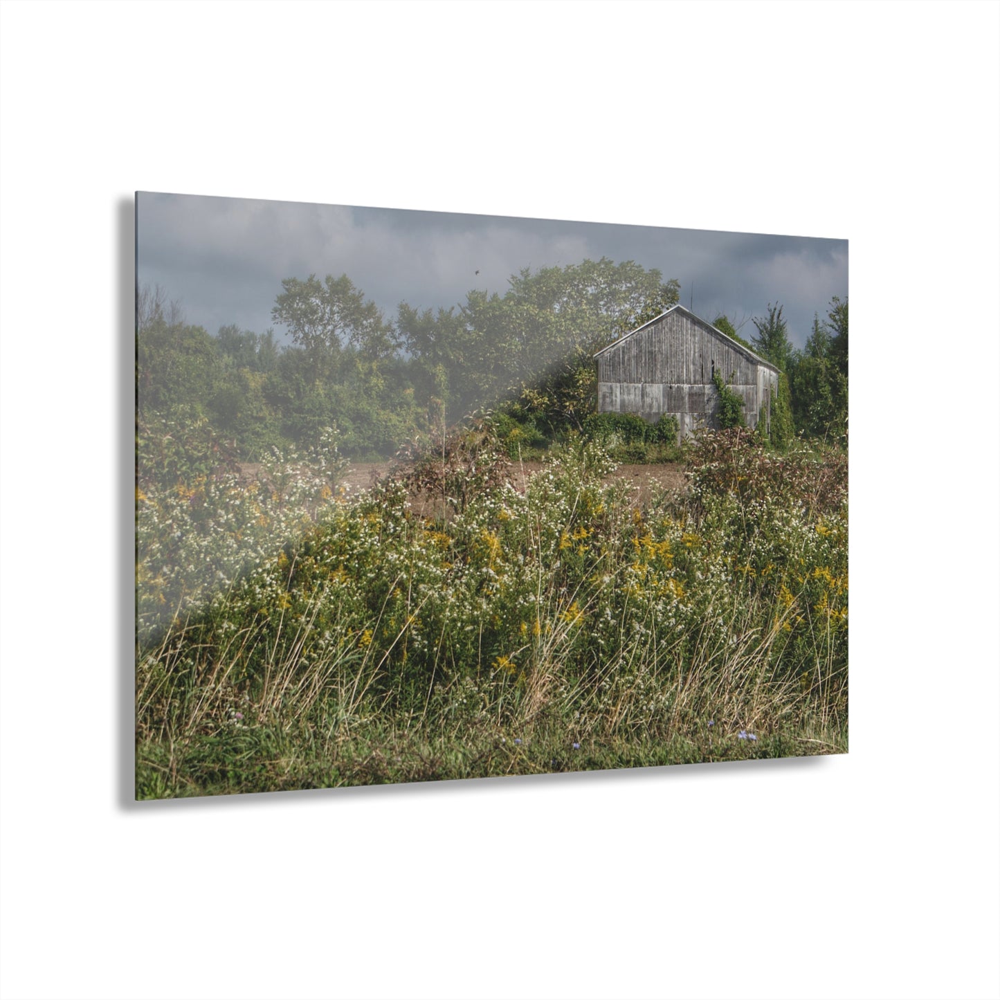 U R There Photography Almont Road Grey Rustic Farmhouse Acrylic Wall Print