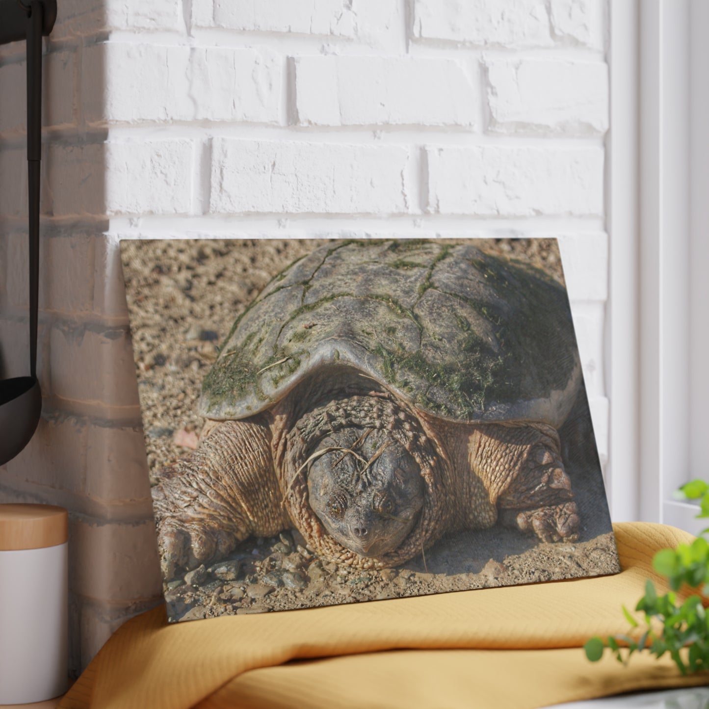 U R There Photography Fargo Road Turtle Rustic Farmhouse Tempered-Glass Cutting Board