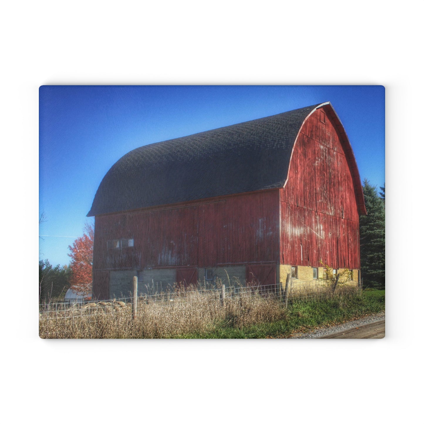 U R There Photography Big Red II Rustic Farmhouse Tempered-Glass Cutting Board