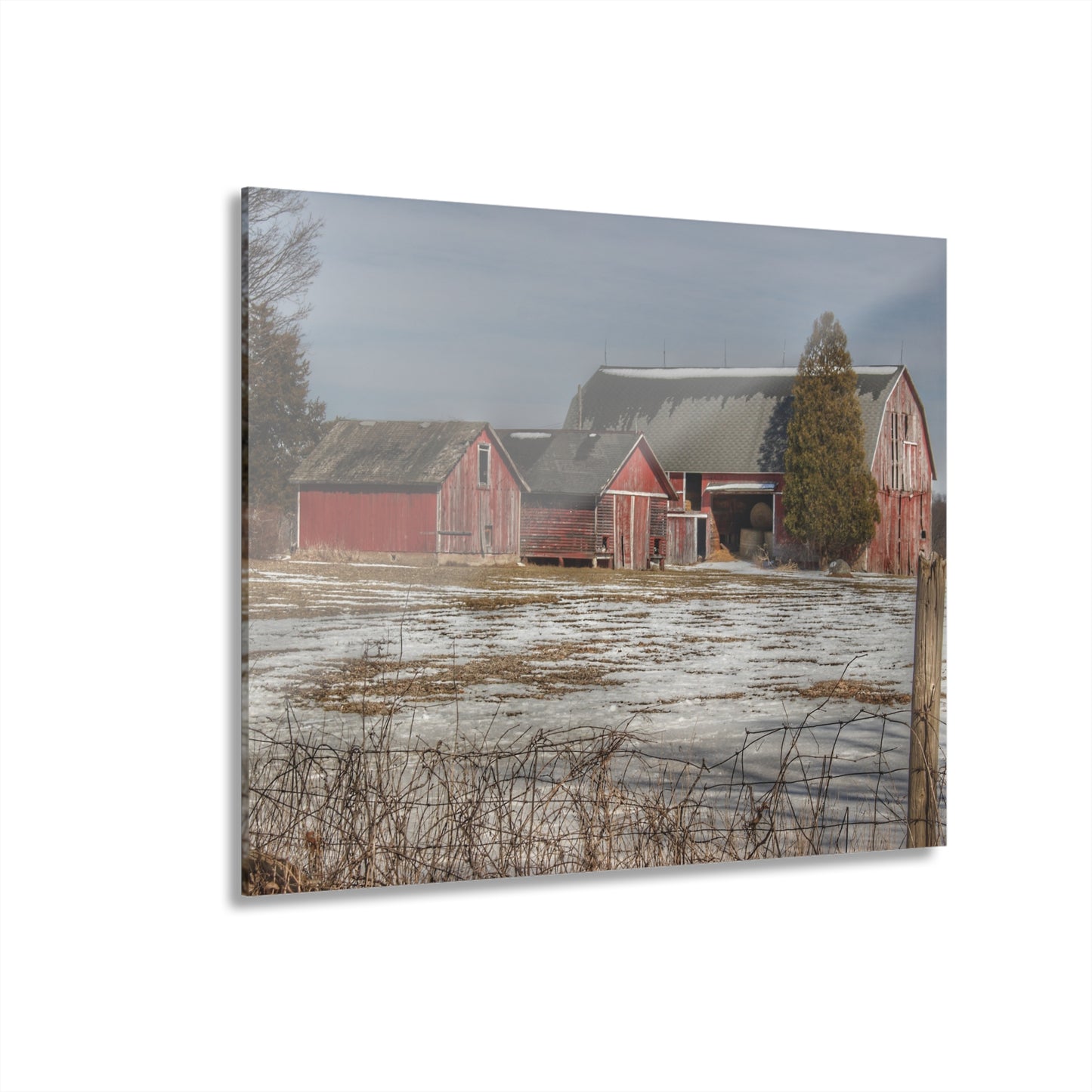 U R There Photography Wilder Road Reds Rustic Farmhouse Acrylic Wall Print