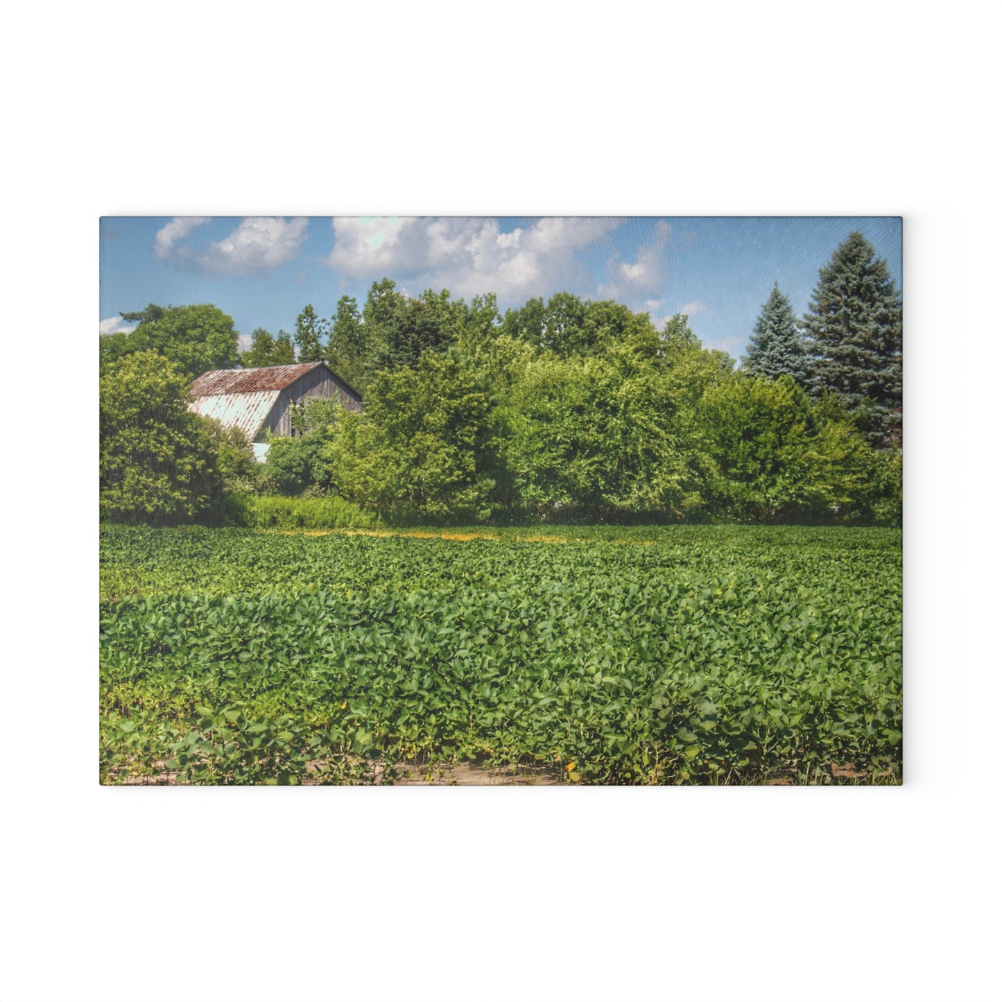 U R There Photography Canada Road Hidden Rustic Farmhouse Tempered-Glass Cutting Board