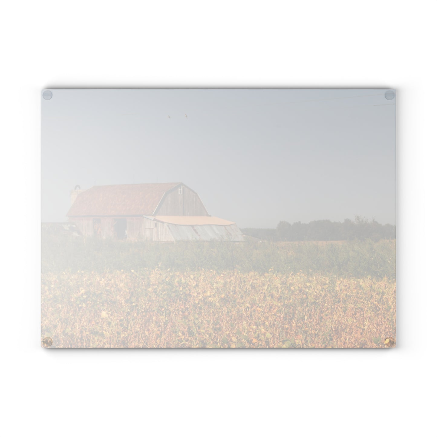 U R There Photography Slattery Road Saltbox Grey Rustic Farmhouse Tempered-Glass Cutting Board