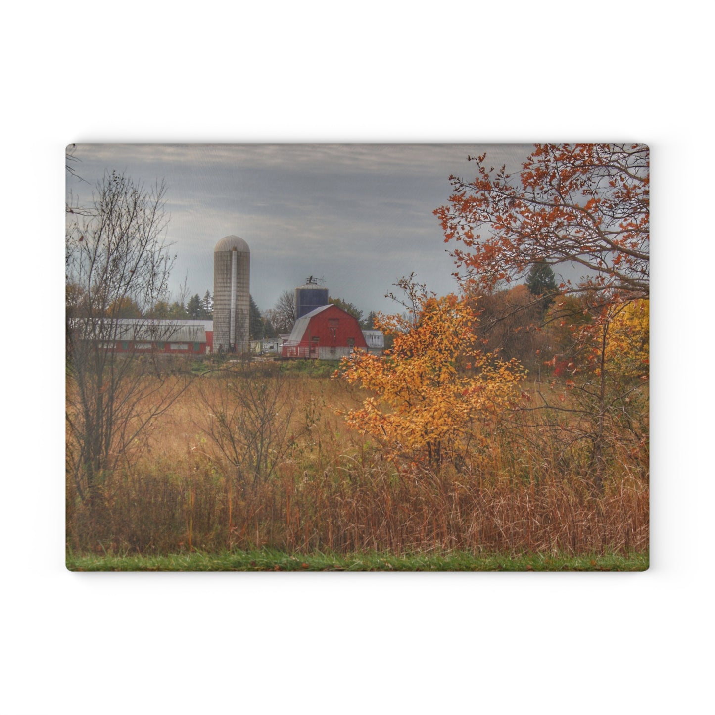 U R There Photography Vienna Road Red and Silo Rustic Farmhouse Tempered-Glass Cutting Board