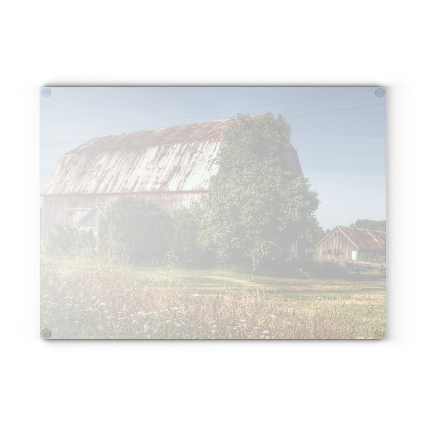 U R There Photography Barkley Road Red in Summer II Rustic Farmhouse Tempered-Glass Cutting Board