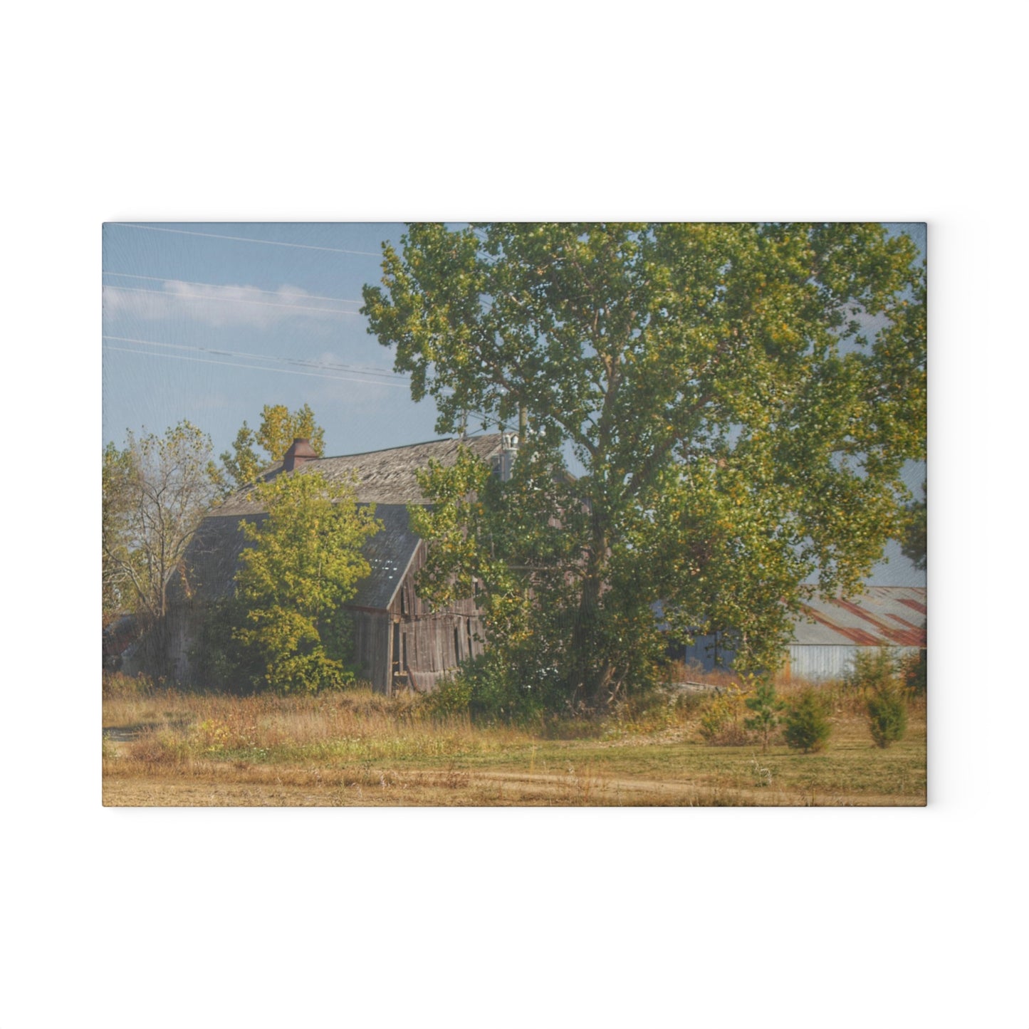U R There Photography Barnes Road Old Grey I Rustic Farmhouse Tempered-Glass Cutting Board