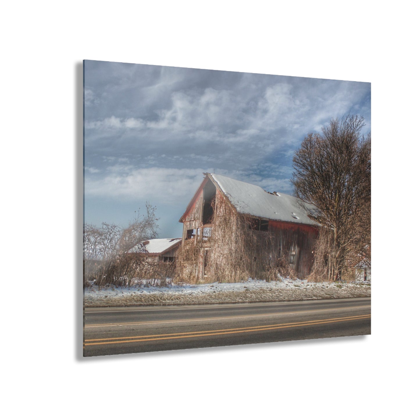 U R There Photography Almont Van Dyke Red II Rustic Farmhouse Acrylic Wall Print 14 "x 11"