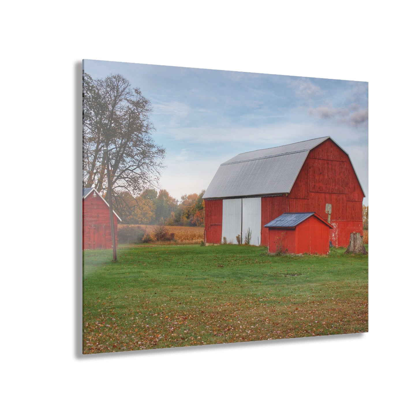 U R There Photography Ruth Reds Rustic Farmhouse Acrylic Wall Print