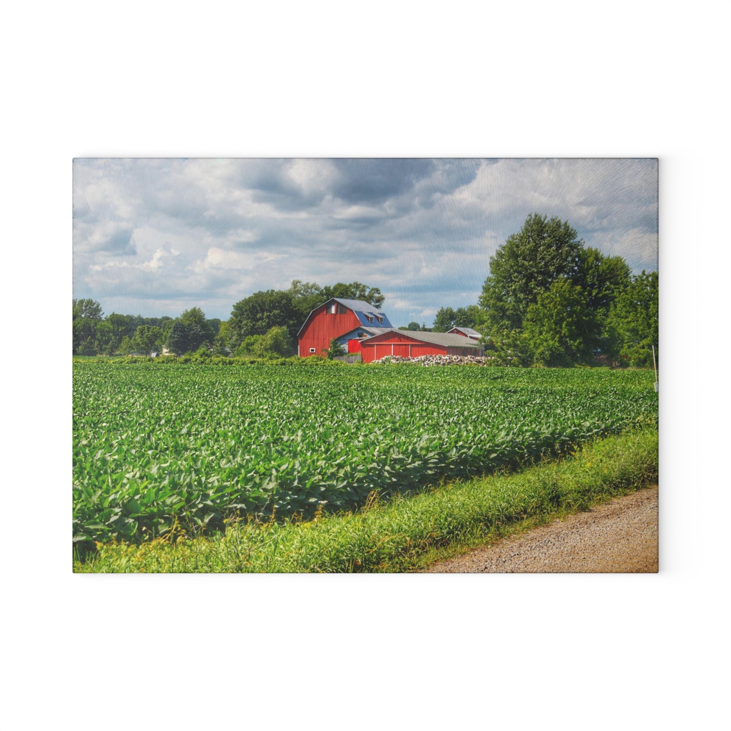 U R There Photography Block Road Reds Rustic Farmhouse Tempered-Glass Cutting Board