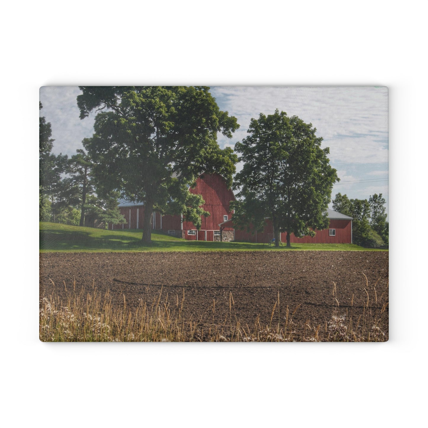 U R There Photography Catlin Road Red II Rustic Farmhouse Tempered-Glass Cutting Board