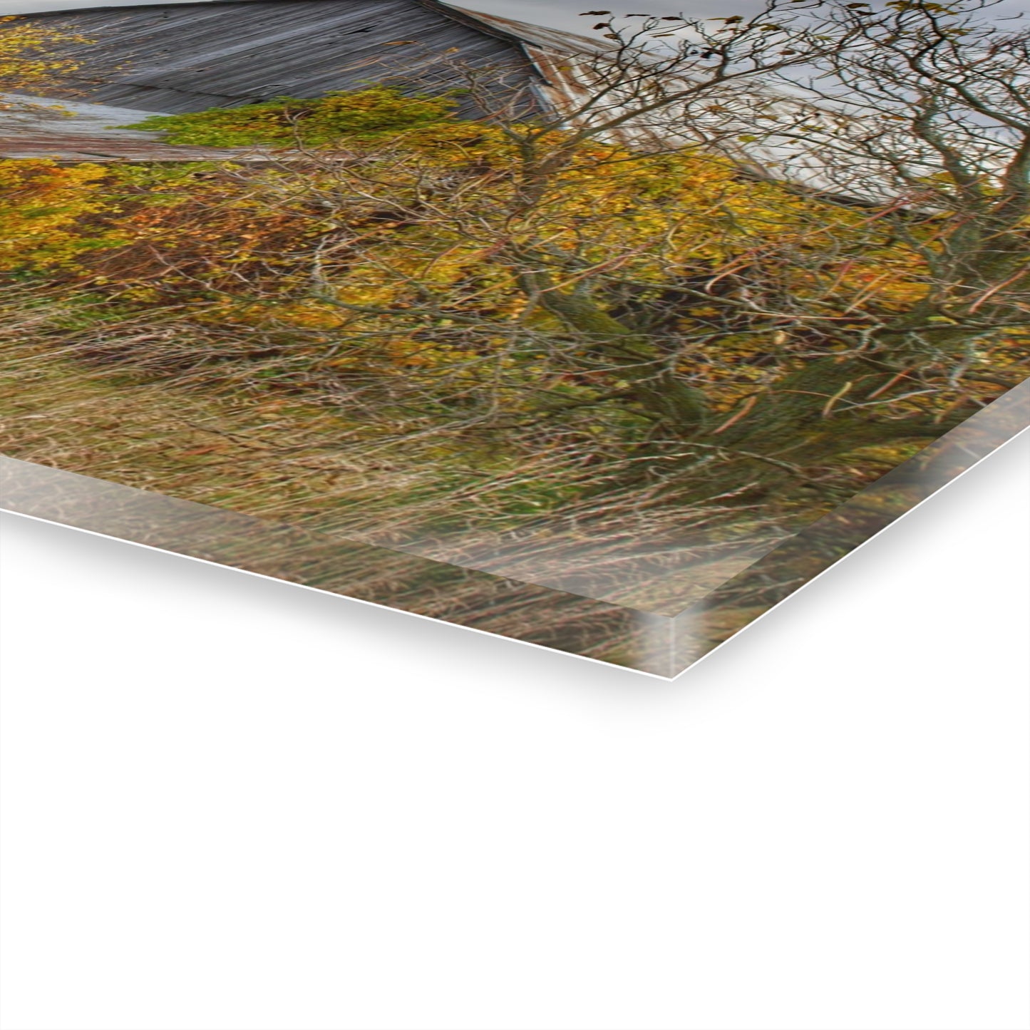 U R There Photography Church Road Grey IV Rustic Farmhouse Acrylic Wall Print