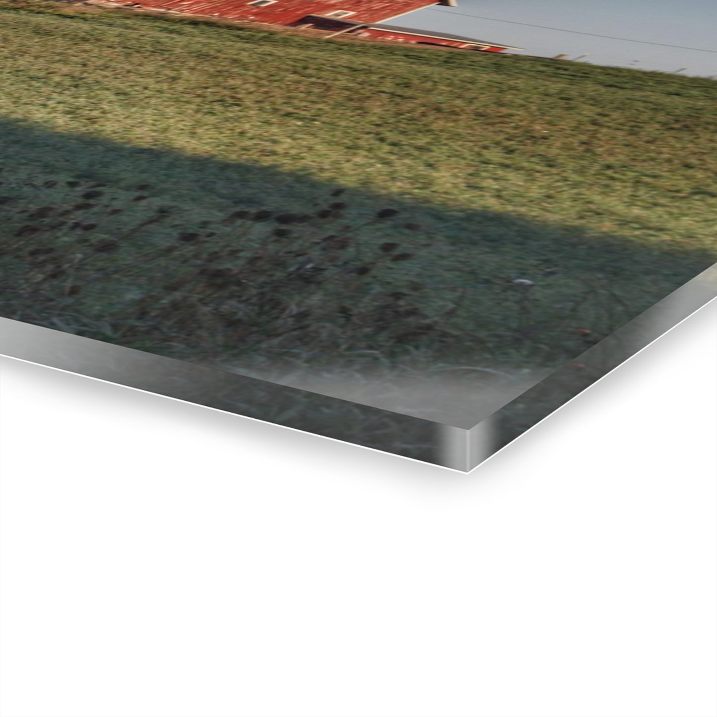 Rustic Farmhouse Wall Print Featuring Across the Field in Millington