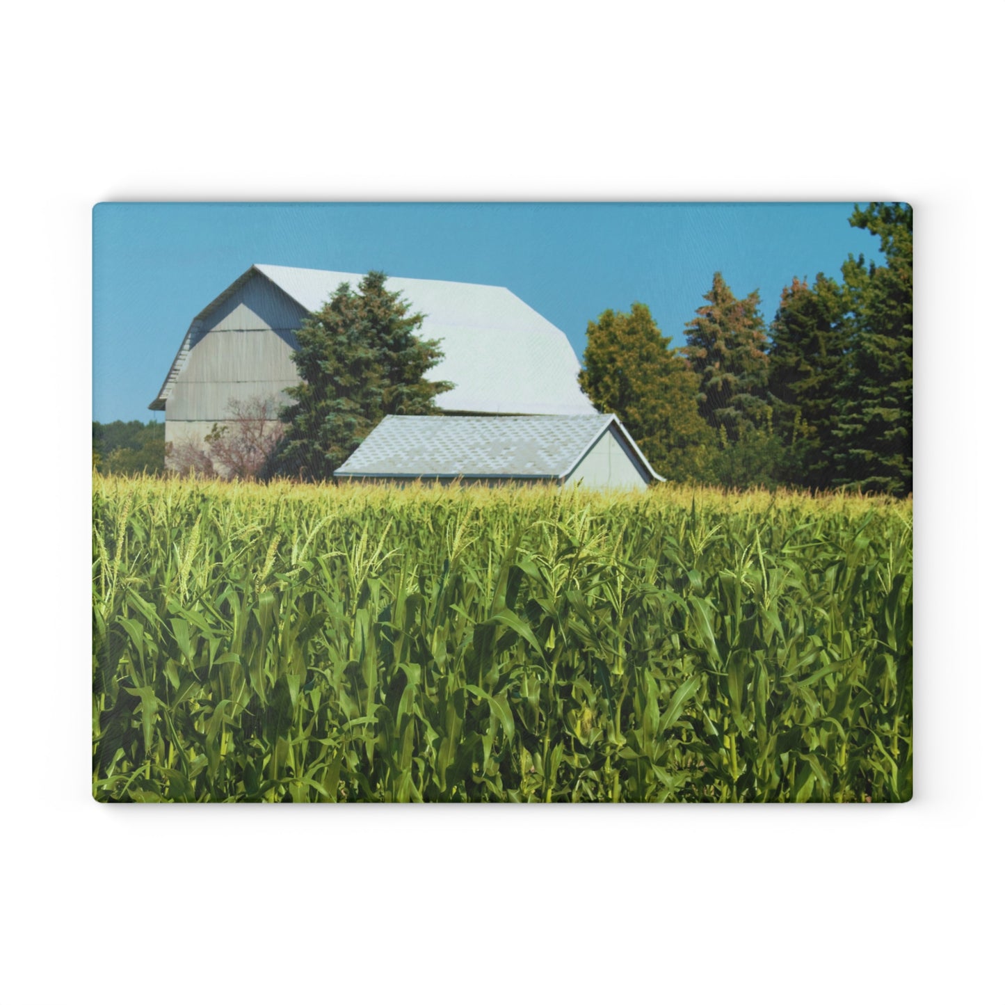 U R There Photography White Cornfield Barn Rustic Farmhouse Tempered-Glass Cutting Board