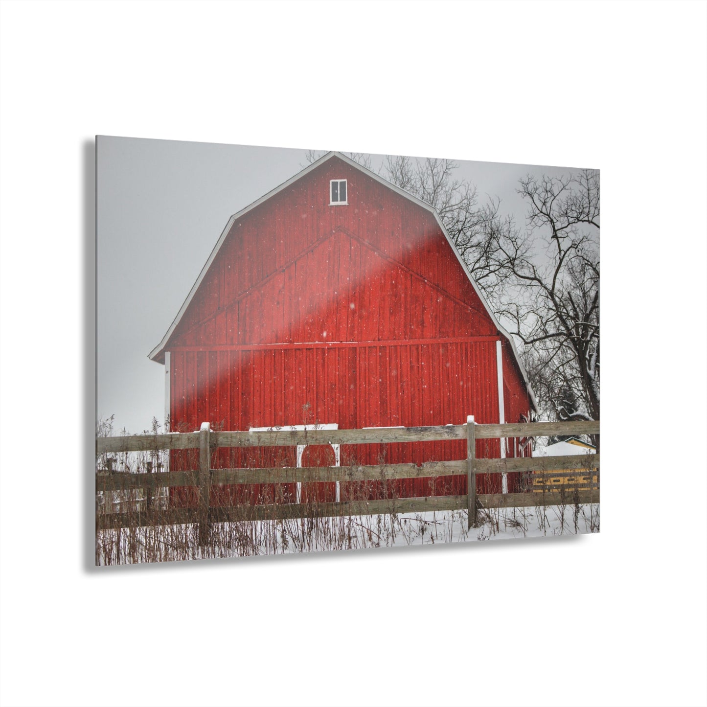 U R There Photography Big Red Beyond the Fence Rustic Farmhouse Acrylic Wall Print