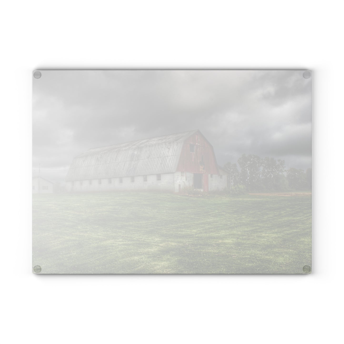 U R There Photography Peters Red Appaloosa I Rustic Farmhouse Tempered-Glass Cutting Board 8"x 11