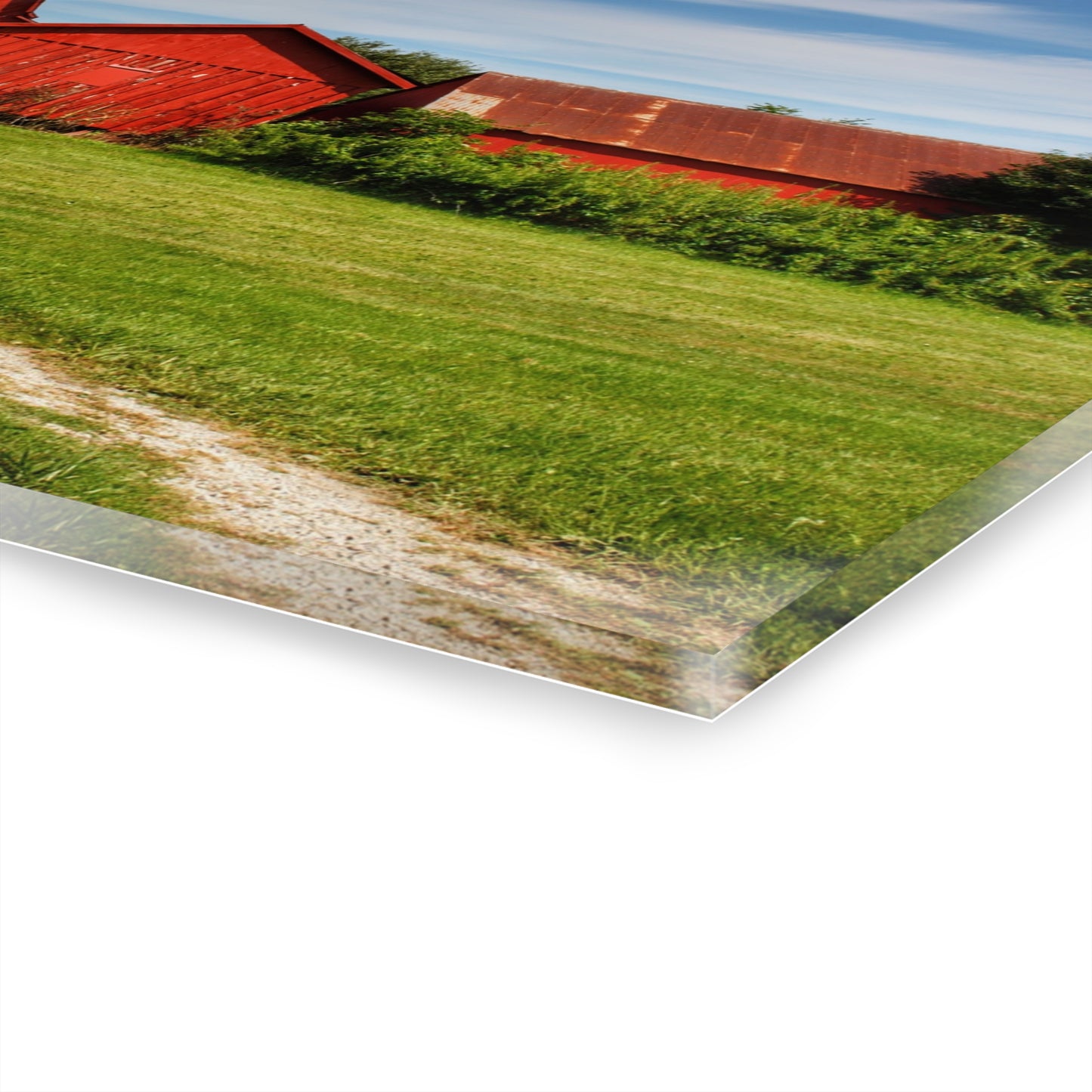 U R There Photography South Oak Road Reds I Rustic Farmhouse Acrylic Wall Print