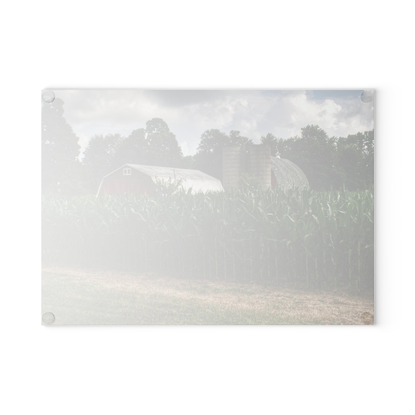 U R There Photography Scotch Settlement Reds Rustic Farmhouse Tempered-Glass Cutting Board