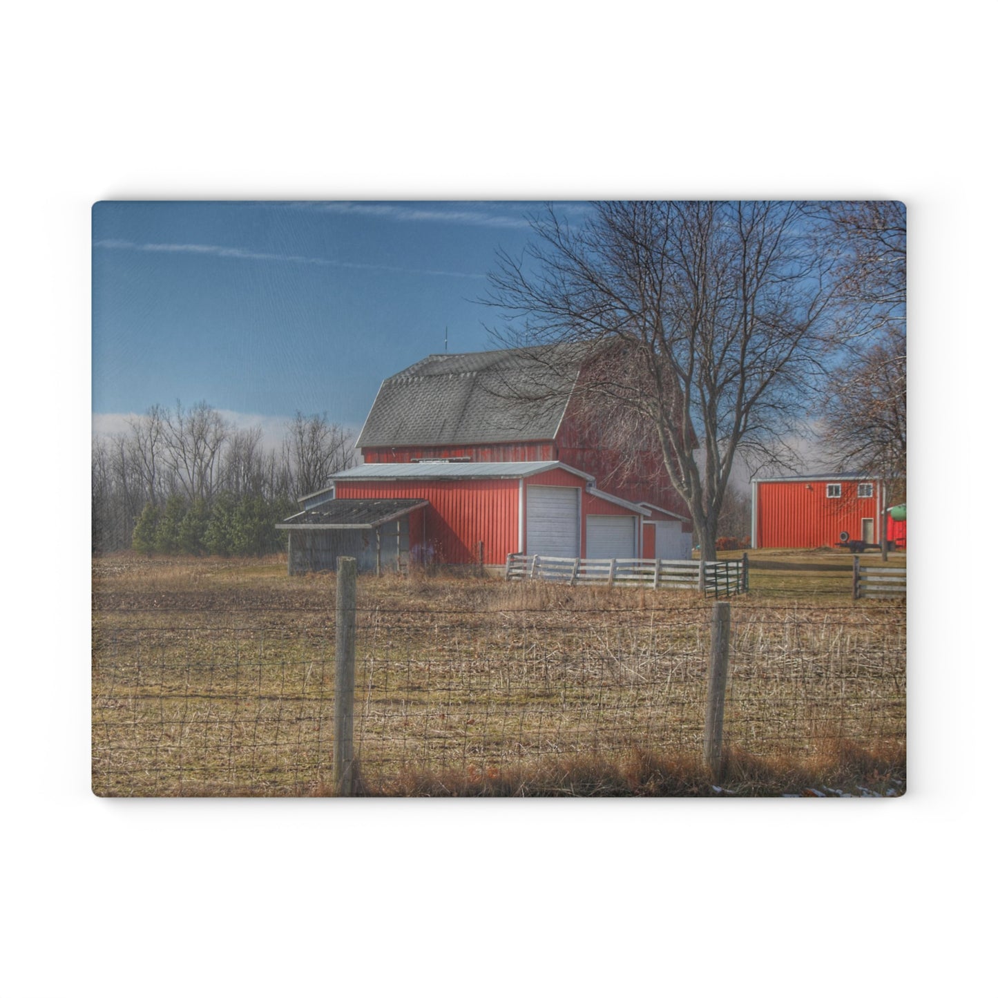 U R There Photography Clifford Road Red II Rustic Farmhouse Tempered-Glass Cutting Board
