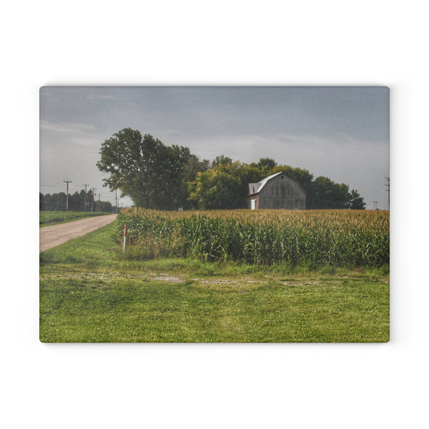 U R There Photography Quanicassee Road Grey Rustic Farmhouse Tempered-Glass Cutting Board