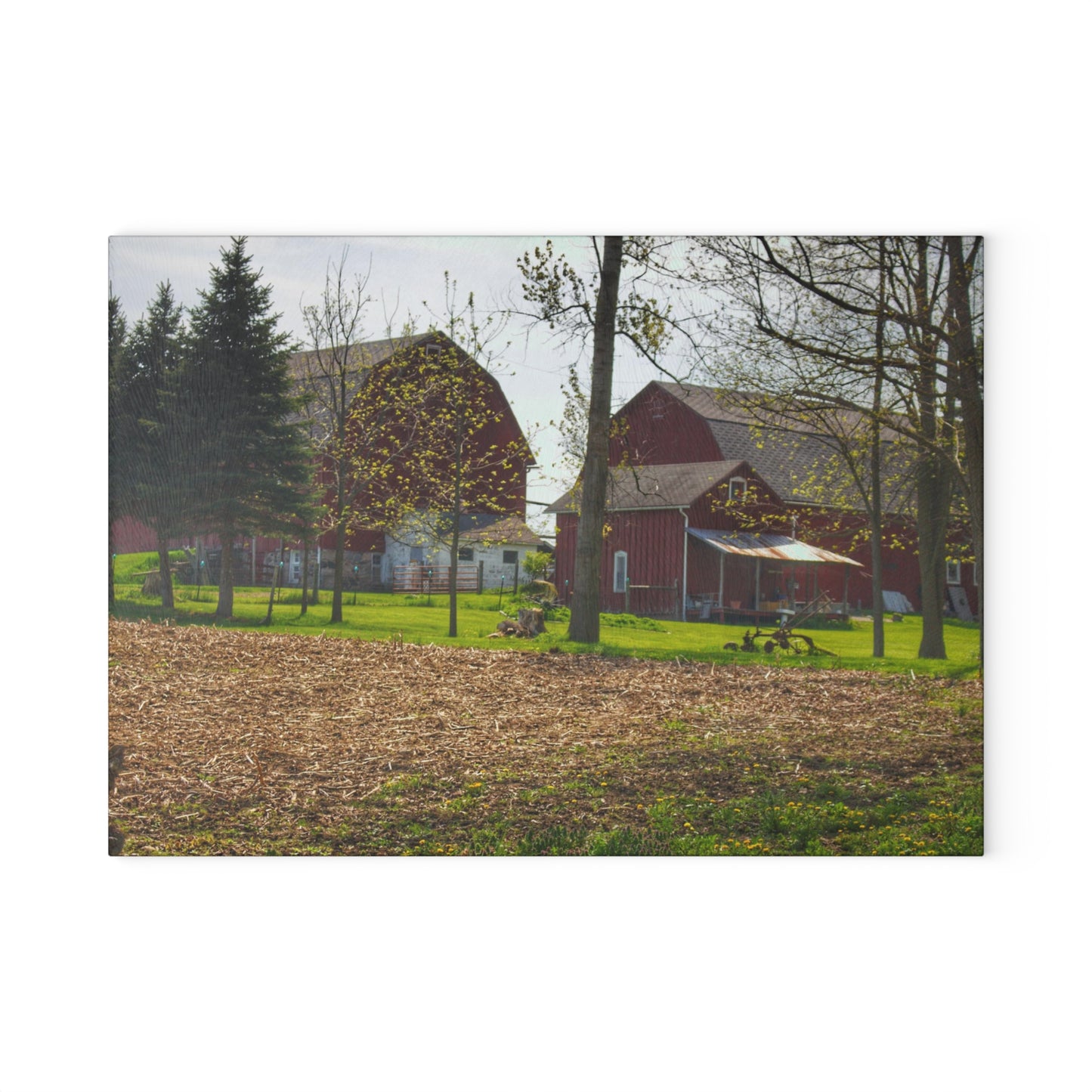 U R There Photography Bishop Road Reds III Rustic Farmhouse Tempered-Glass Cutting Board