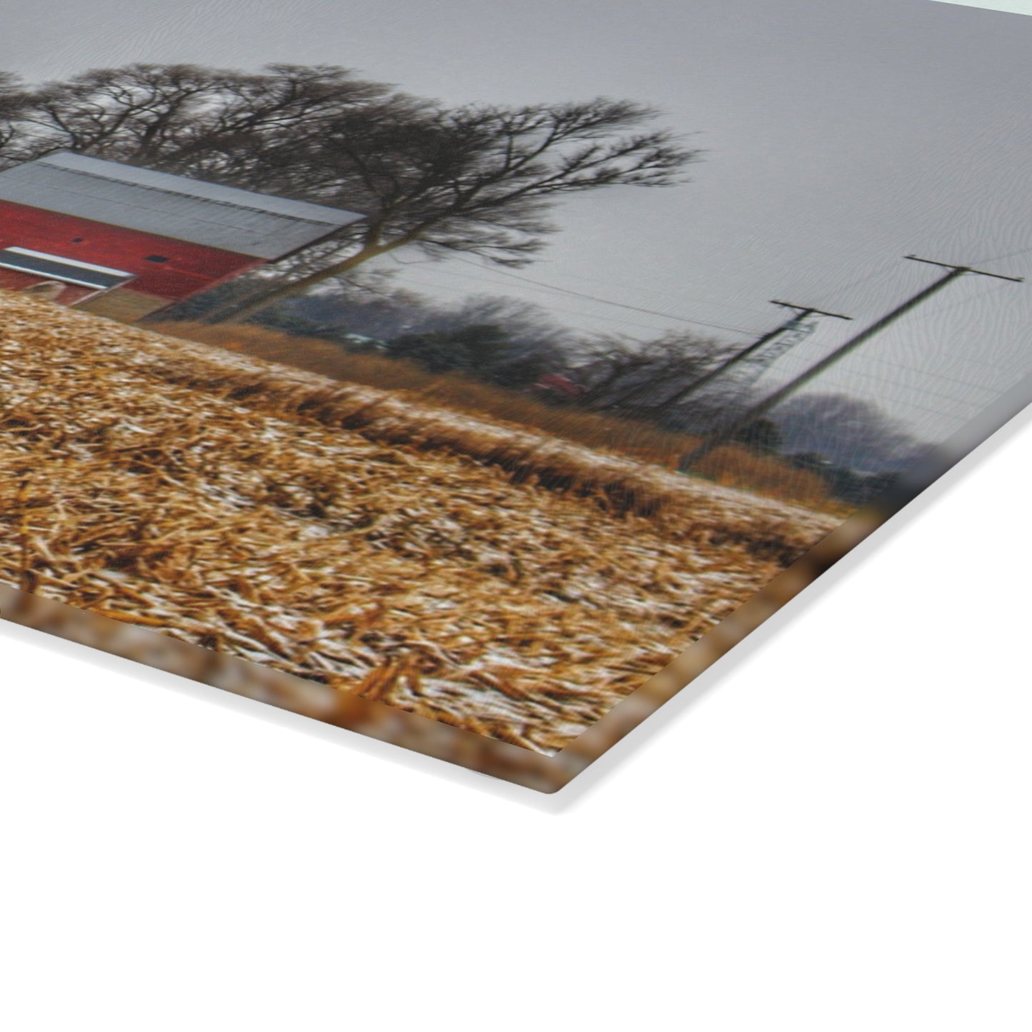 U R There Photography Shoemaker Road Winter Reds II Rustic Farmhouse Tempered-Glass Cutting Board