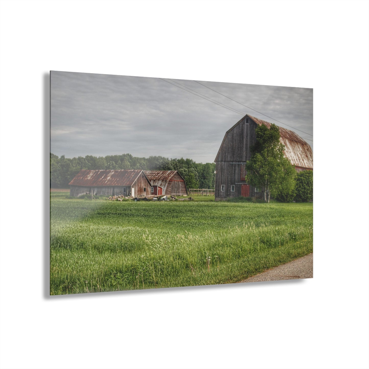 U R There Photography Barkley Road Trio Rustic Farmhouse Acrylic Wall Print
