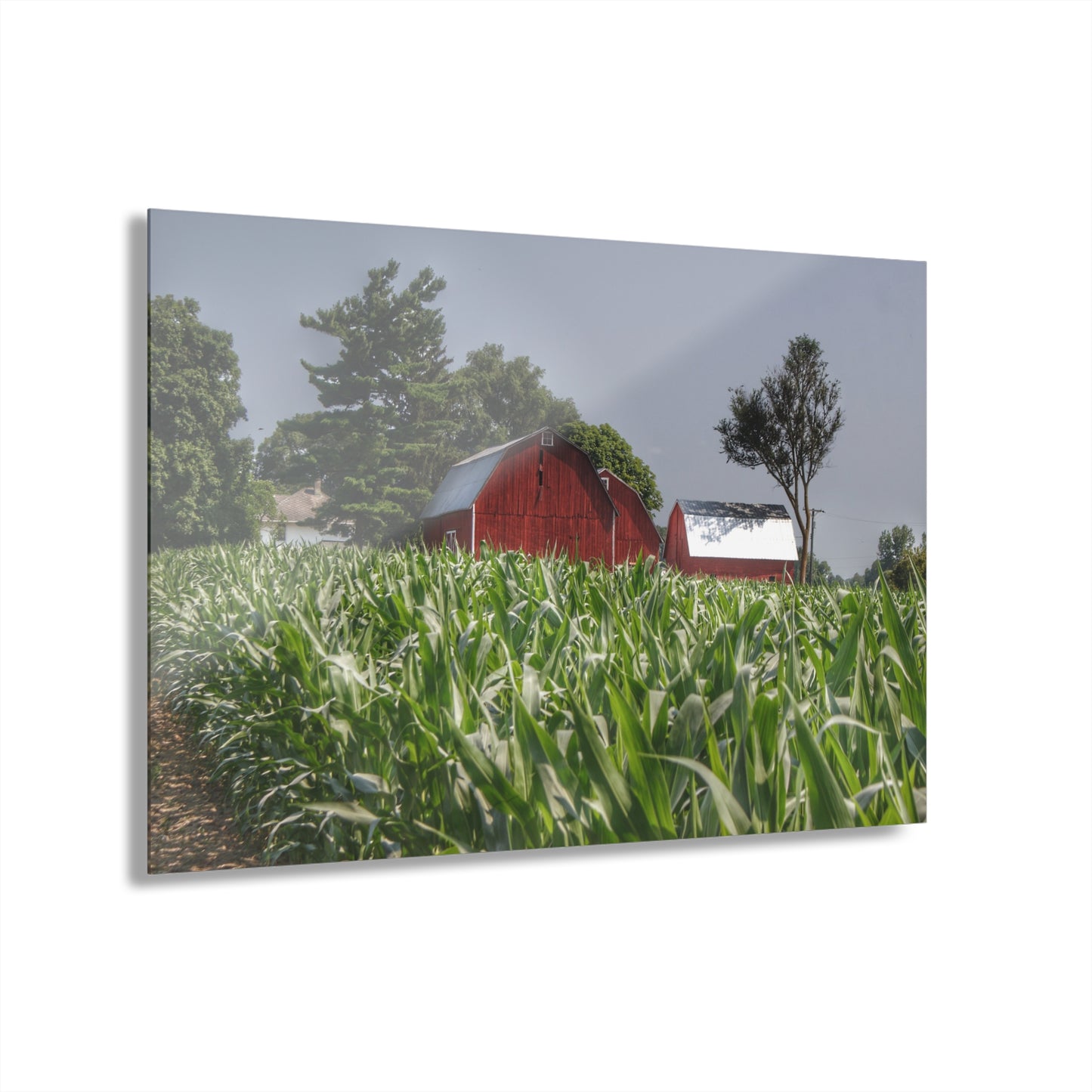 U R There Photography Shoemaker Reds Rustic Farmhouse Acrylic Wall Print