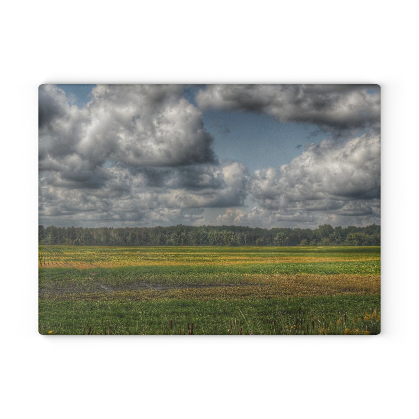 U R There Photography Skies of September Rustic Farmhouse Tempered-Glass Cutting Board