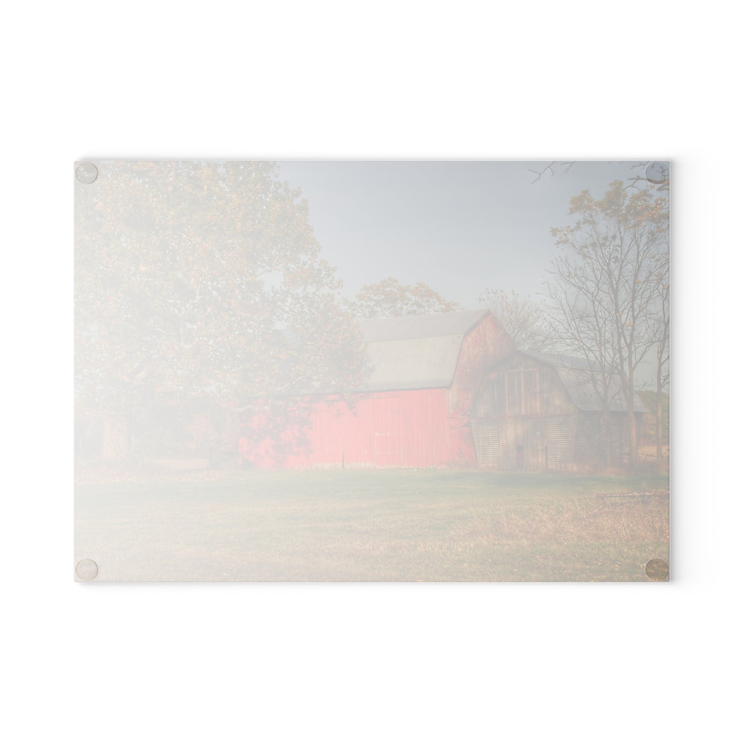 U R There Photography Barkley Road Red I Rustic Farmhouse Tempered-Glass Cutting Board