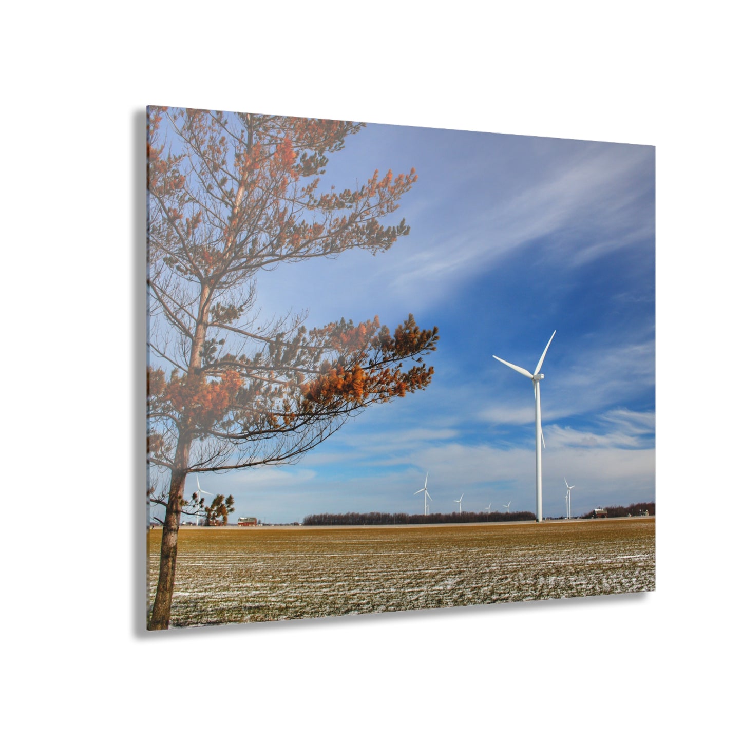 U R There Photography Winter Windmills Rustic Farmhouse Acrylic Wall Print