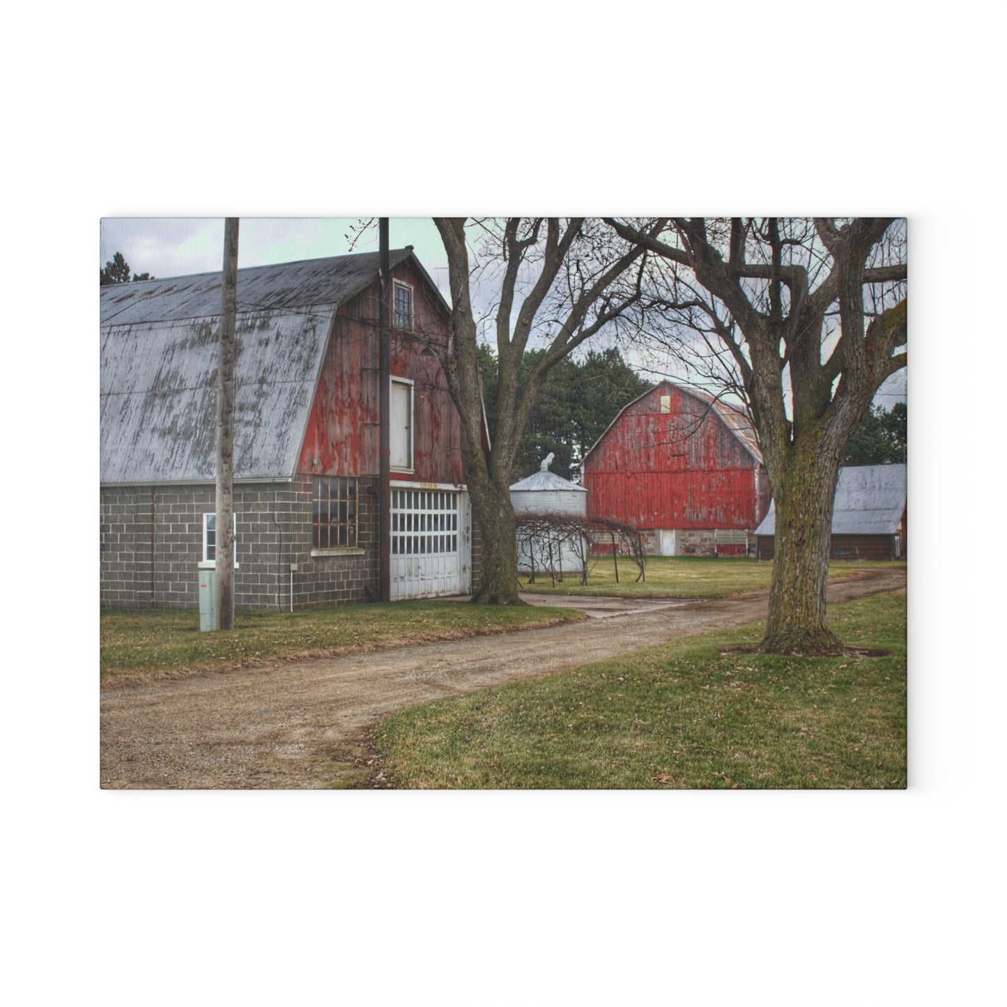 U R There Photography Peck Reds Rustic Farmhouse Tempered-Glass Cutting Board 8"x 11"