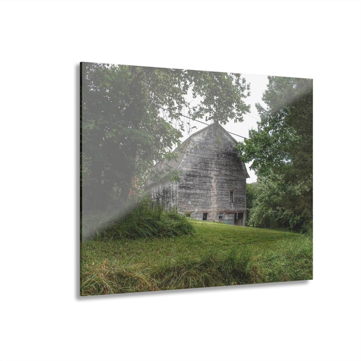 U R There Photography Snell Grey Rustic Farmhouse Acrylic Wall Print