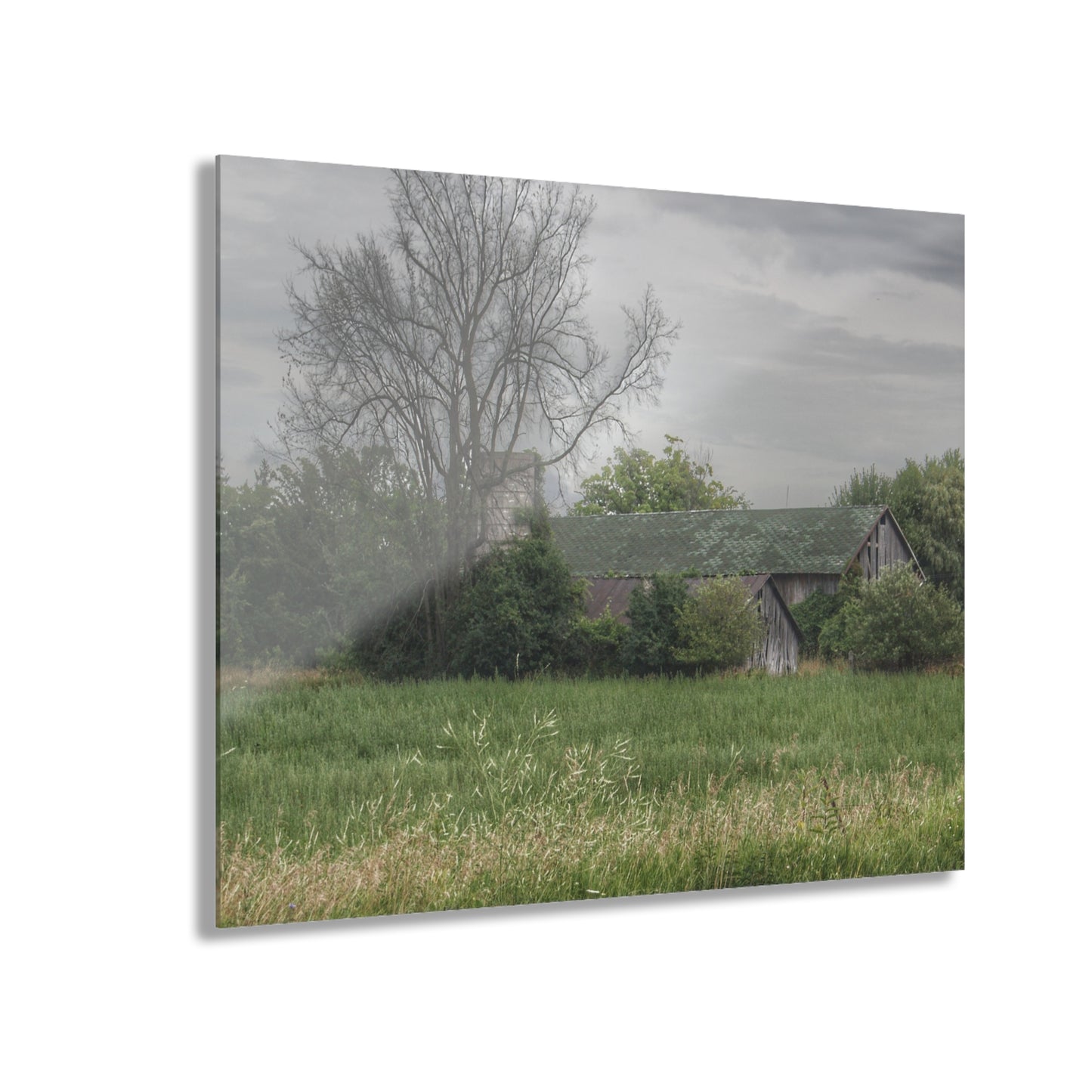 U R There Photography Wilder Road Grey III Rustic Farmhouse Acrylic Wall Print