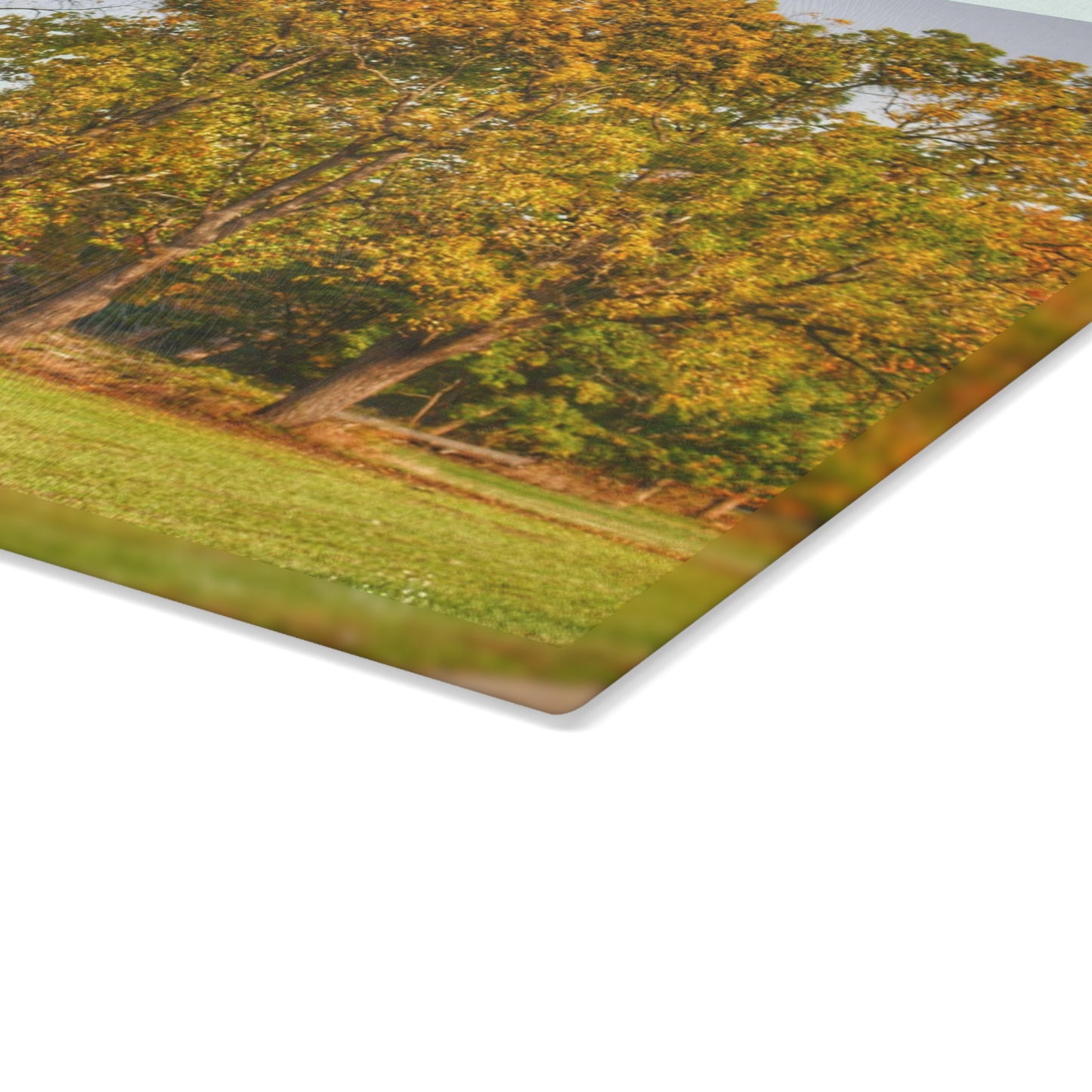 U R There Photography Barkley Road Red II Rustic Farmhouse Tempered-Glass Cutting Board